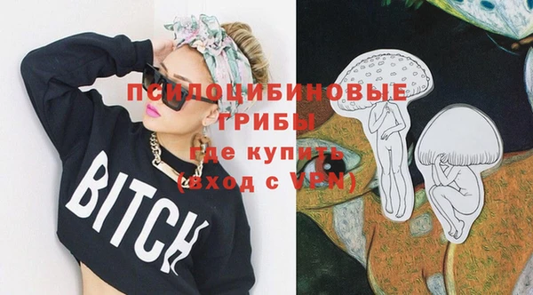 винт Алзамай