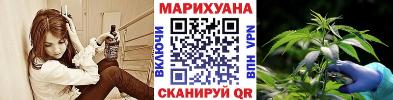 где найти наркотики  Новозыбков  Бошки марихуана марихуана 